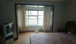 宝鸡新建路中学最新爆料,揭秘校园新变化与亮点